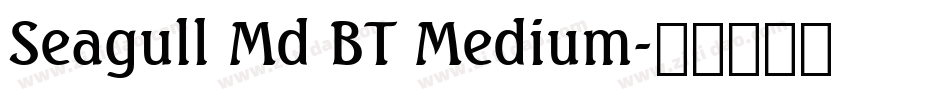 Seagull Md BT Medium字体转换